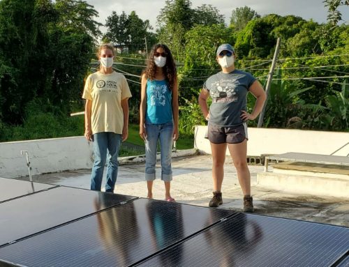 Student Highlight: Emily installs solar with a heart of adventure, compassion & motivation…